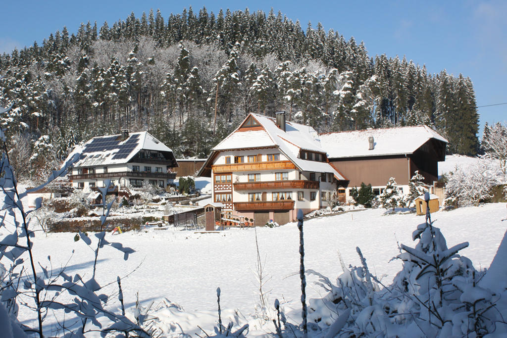 Schlosshof - Der Urlaubsbauernhof Villa Elzach Exterior foto