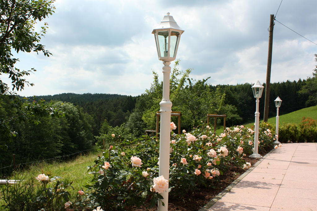 Schlosshof - Der Urlaubsbauernhof Villa Elzach Exterior foto