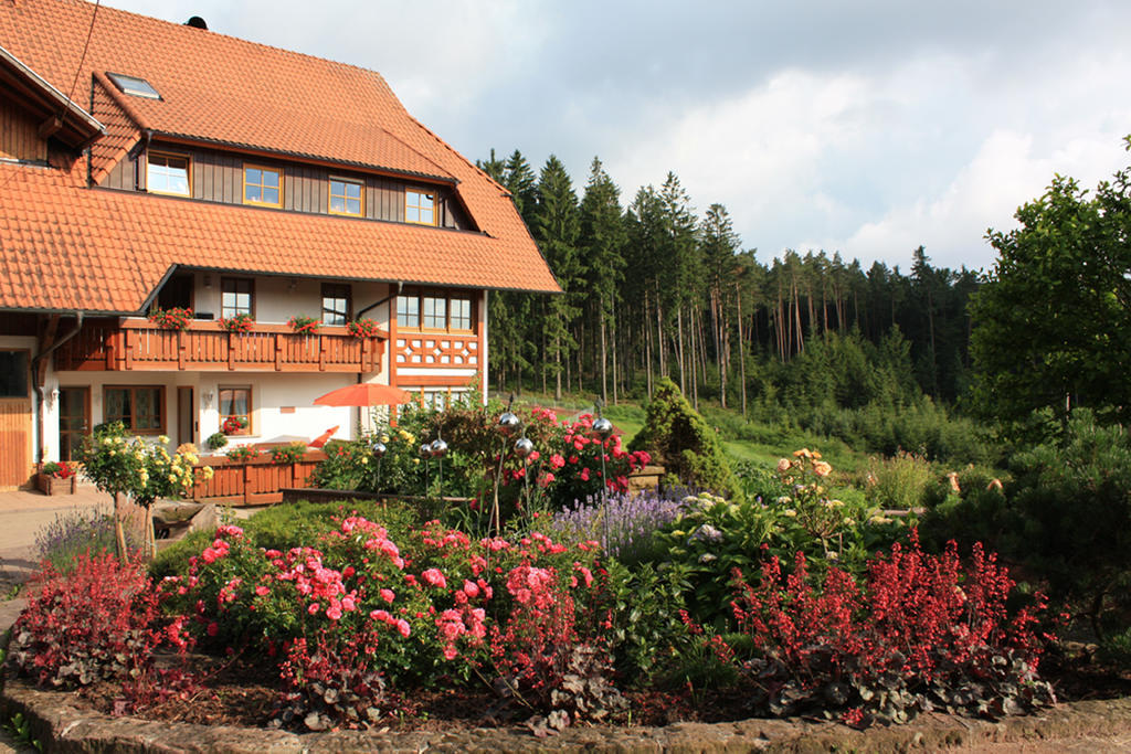 Schlosshof - Der Urlaubsbauernhof Villa Elzach Exterior foto